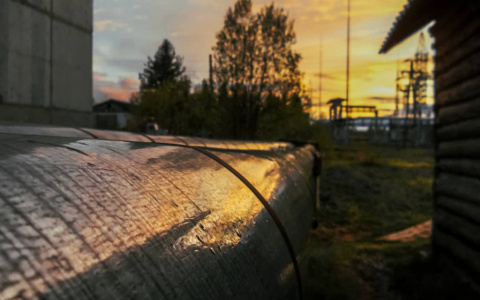 Погода в Сыктывкаре на 16 августа: лето возвращается