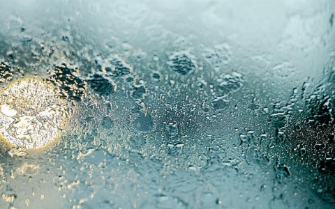 Типичный август: синоптики рассказали о погоде на рабочей неделе в Коми