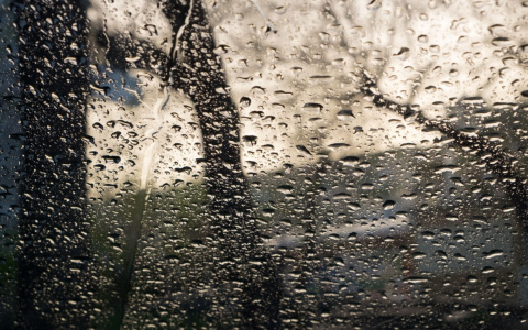 Погода в Сыктывкаре на 18 августа: неприятный ветер и затяжной дождь