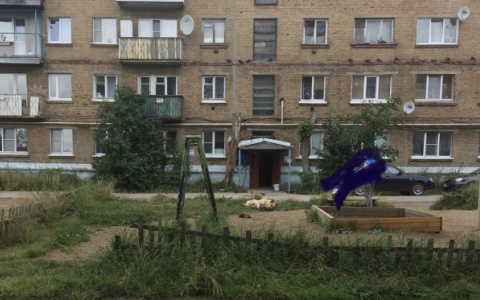 В Коми агрессивная собака атаковала мужчину с ребенком