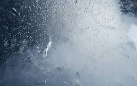 Погода в Сыктывкаре на 19 августа: дождь и холод