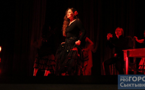 В Коми снова открылись театры и концертные организации