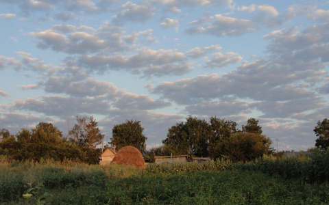 Погода в Сыктывкаре на 22 августа: несущественные осадки и 20-градусное тепло