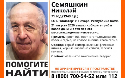 В Коми ищут пенсионера, который ушел за грибами и пропал