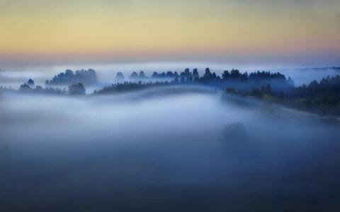Фото дня от сыктывкарца: загадочный туманный лес