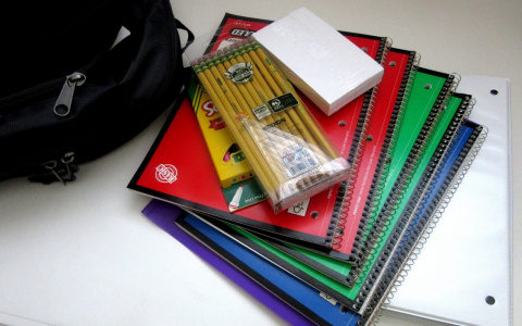 В России предложили выдавать по 10 тысяч рублей на сборы детей в школу