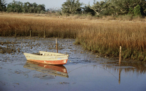 На одной из рек Коми сильно упал уровень воды