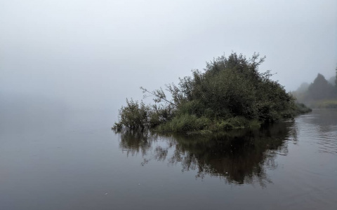 Фото дня от сыктывкарца: речные прогулки в утреннем тумане