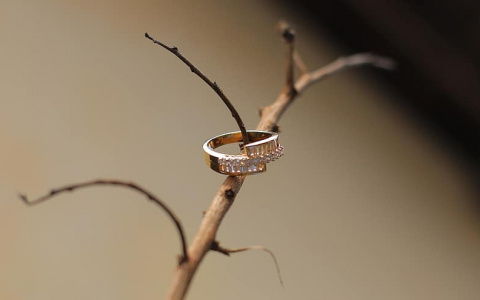 В Коми женщина вышла замуж за 20 тысяч рублей