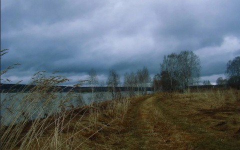 Погода в Сыктывкаре на 1 сентября: пасмурно и холодно