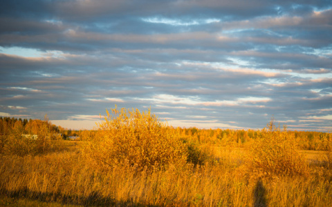 Жителям Коми пообещали теплый и сухой сентябрь