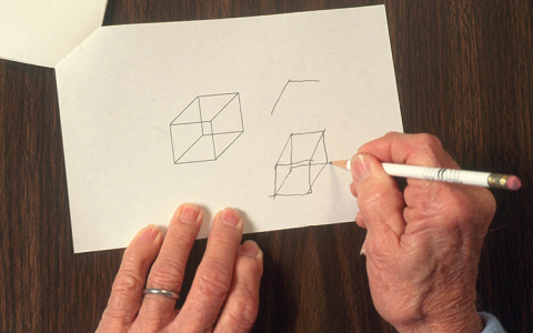 Назван ранний признак одной из самых страшных неизлечимых болезней