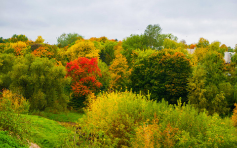 Погода в Сыктывкаре на 4 сентября: почти как летом
