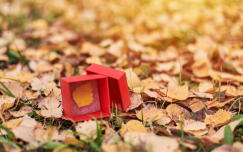 Погода в Сыктывкаре на 5 сентября: бабье лето?