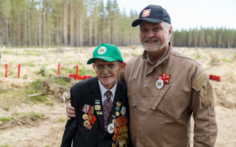 Владимир Уйба посадил сосны в Сыктывкаре
