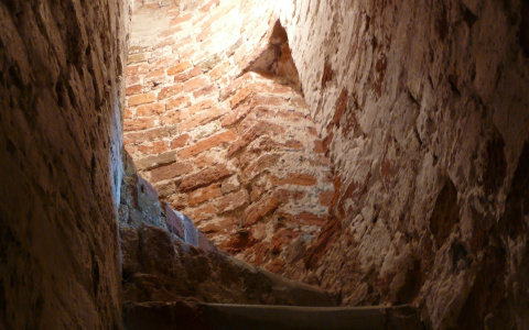 Как спуститься в погреб и не погибнуть: рассказали специалисты МЧС