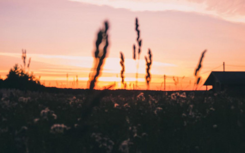 Фото дня в Сыктывкаре: костер сентябрьского заката