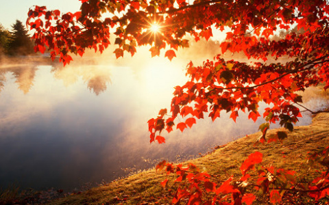 Погода в Сыктывкаре 8 сентября: еще один теплый день