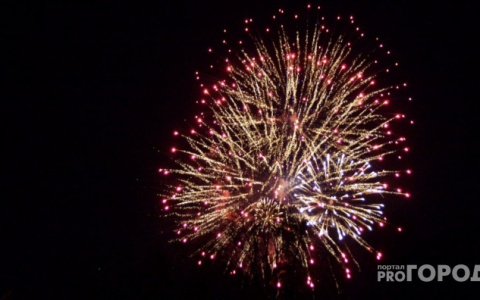 31 декабря в России предложили сделать выходным