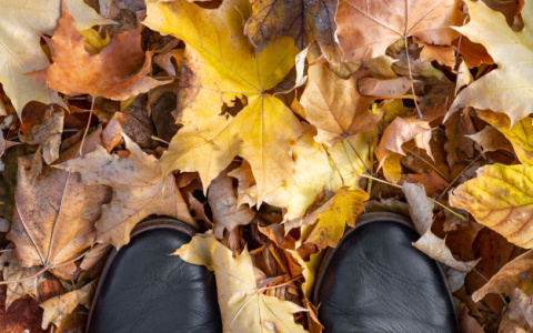 Погода в Сыктывкаре на 9 сентября: тепло, но ветрено