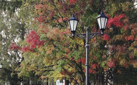 Фото дня в Сыктывкаре: воспоминания об осени