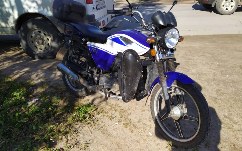 В Сыктывкаре собака отправила водителя мопеда в больницу