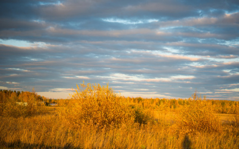 Погода в Сыктывкаре на 12 сентября: немного дождливо, но не холодно