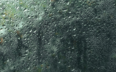 Погода в Сыктывкаре на 21 сентября: ветер и дождь