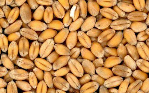 Названы самые дешевые питательные продукты