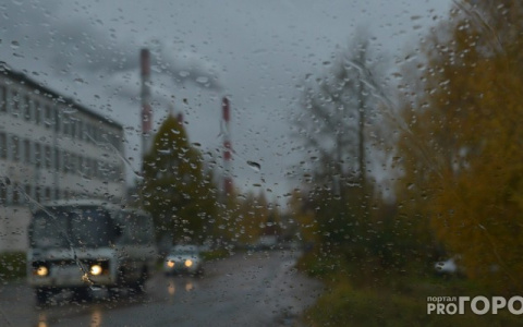 Погода в Сыктывкаре на 22 сентября: немного теплее и дождливее