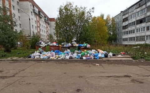 Регоператор объяснил причину мусорных завалов во дворах Сыктывкара