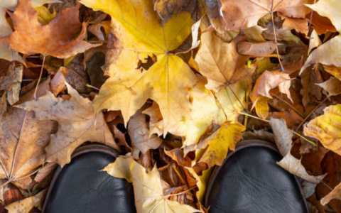 Погода в Сыктывкаре на 24 сентября: тепло, но немного дождливо