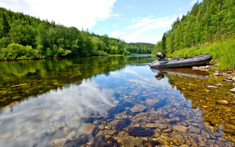 У одной из рек Коми пропала пенсионерка