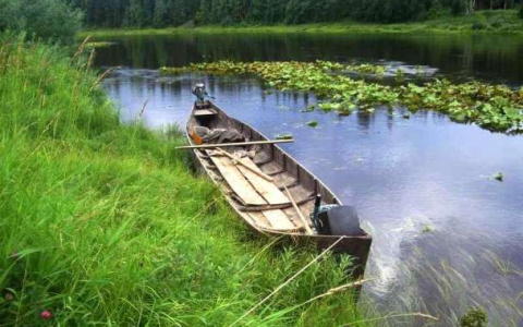 В Коми пропавшего рыбака обнаружили мертвым