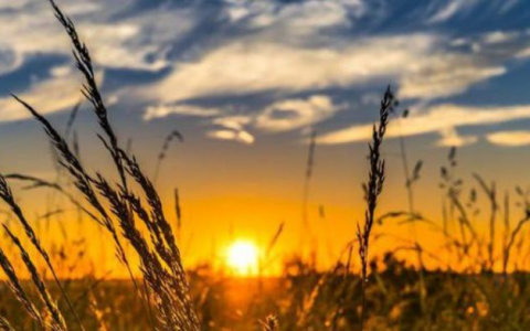 Погода в Сыктывкаре на 28 сентября: тепло и солнечно