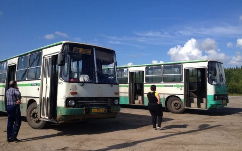 Дачников Сыктывкара будут возить бесплатно