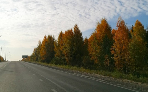 Фото дня в Сыктывкаре: по дороге на работу осенним утром