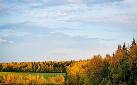 Фото дня в Сыктывкаре: завораживающее великолепие золотой осени
