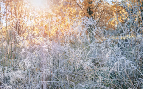 Погода в Сыктывкаре на 16 октября: холода и снег