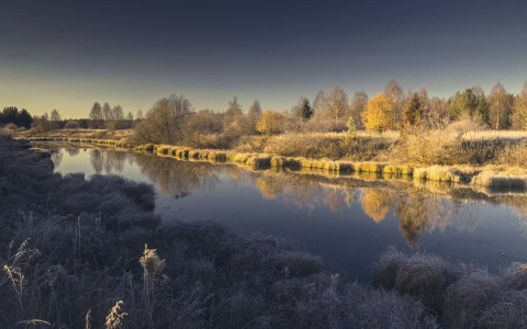Фото дня от сыктывкарца: зеркало природы