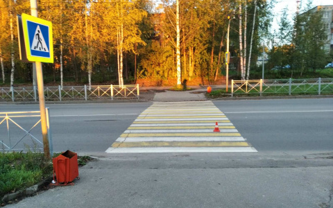 В Сыктывкаре ищут неизвестного, который сбил девочку