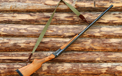 Сложить оружие: за неделю в Коми изъяли семь ружей