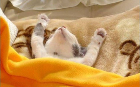 Россияне рассказали, каким должен быть идеальный выходной