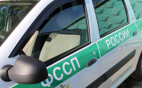 В Сыктывкаре судебные приставы отобрали детей