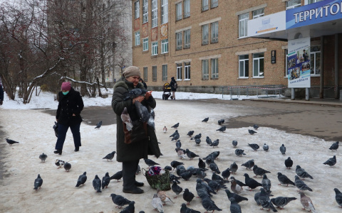 Фото дня в Сыктывкаре: повелительница голубей