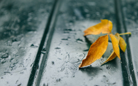 Погода в Сыктывкаре на 29 октября: снова тепло и сыро