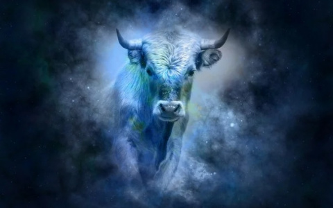 Гороскоп на 31 октября: Тельцам стоит избегать трат, а Львам - навести порядок