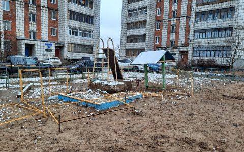 Фото дня от сыктывкарца: «счастливое» детство