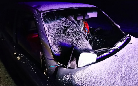 В Коми насмерть сбили велосипедиста