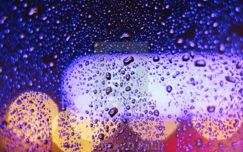 Погода в Сыктывкаре на 6 ноября: дождливо и облачно